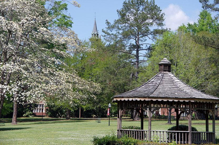 The Green, with a view of Flowers Steeple photo